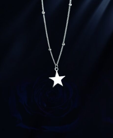 3954972 KATE SPADE classic star-shaped metal women's necklace